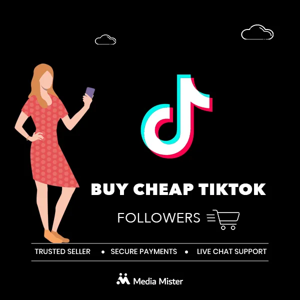 Buy TikTok Followers From $2, 100% Safe