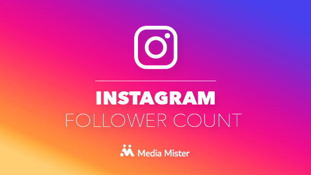 Live Instagram Follower Count Checker